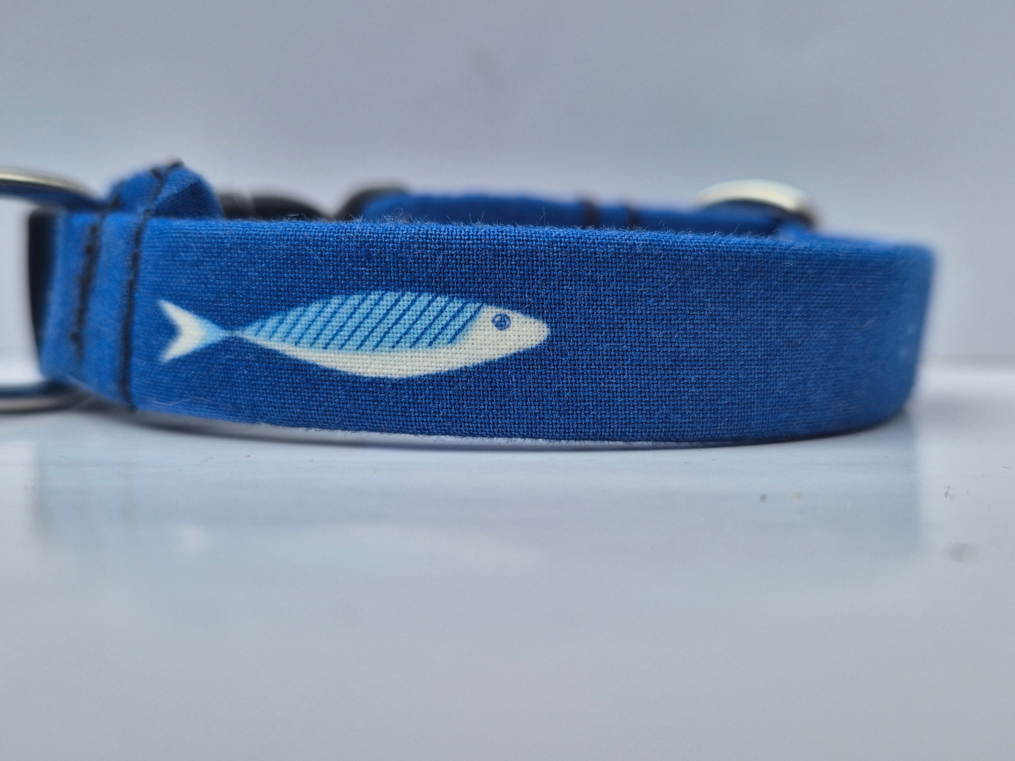 Locking Clasp Collars