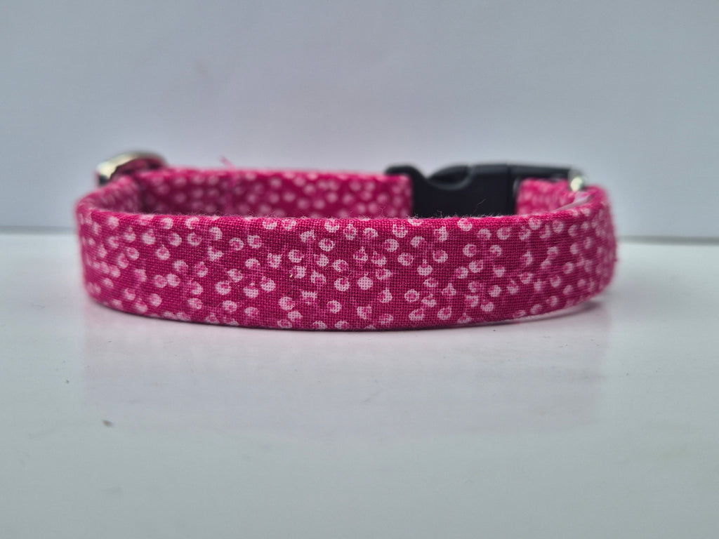 Locking Clasp Collars