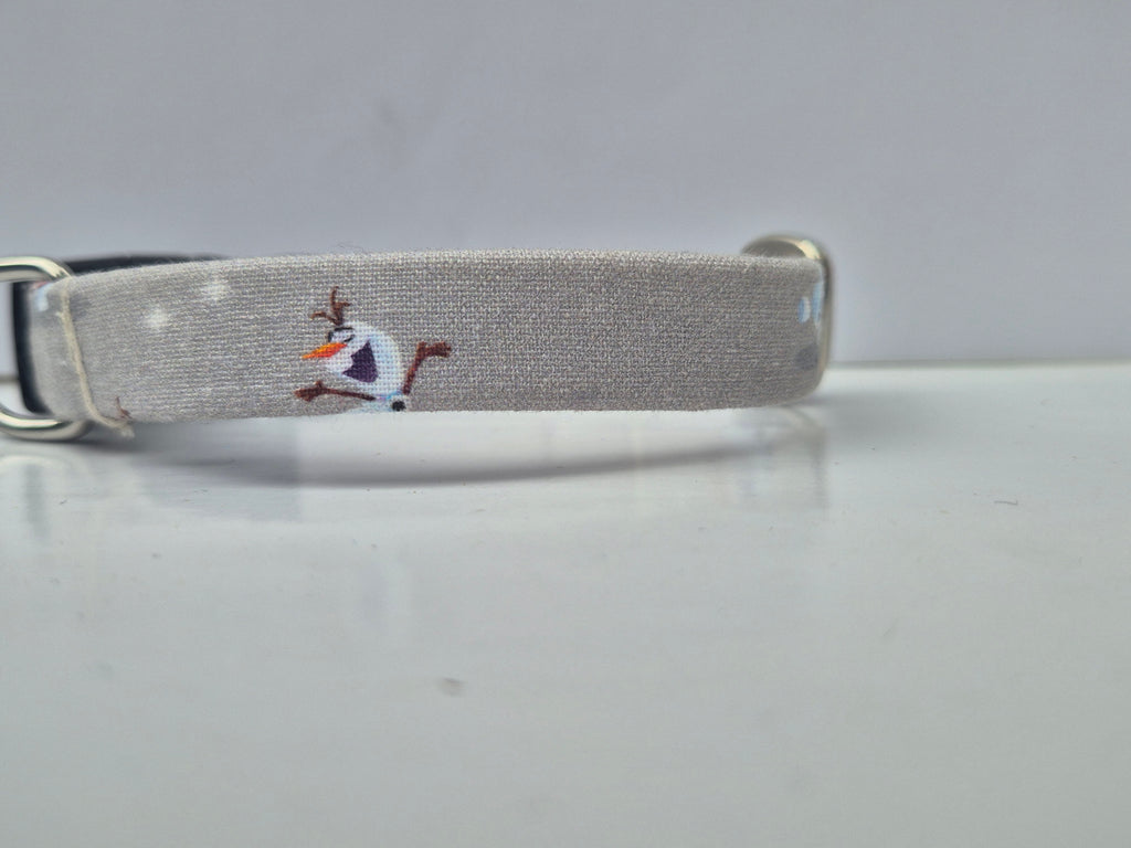 Locking Clasp Collars