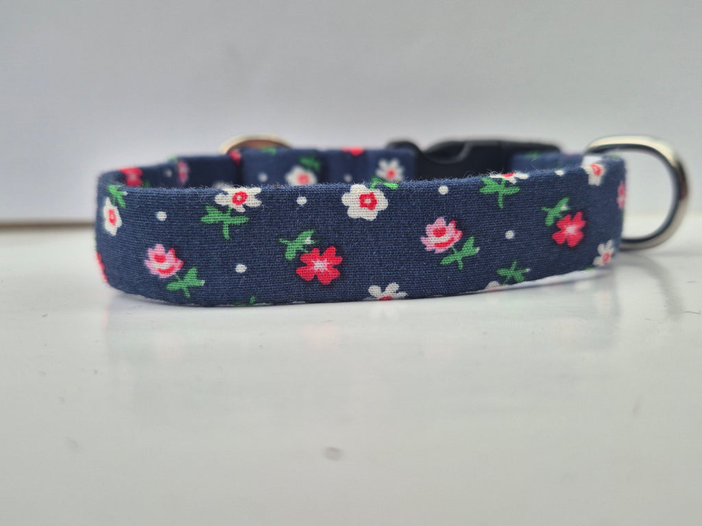 Locking Clasp Collars