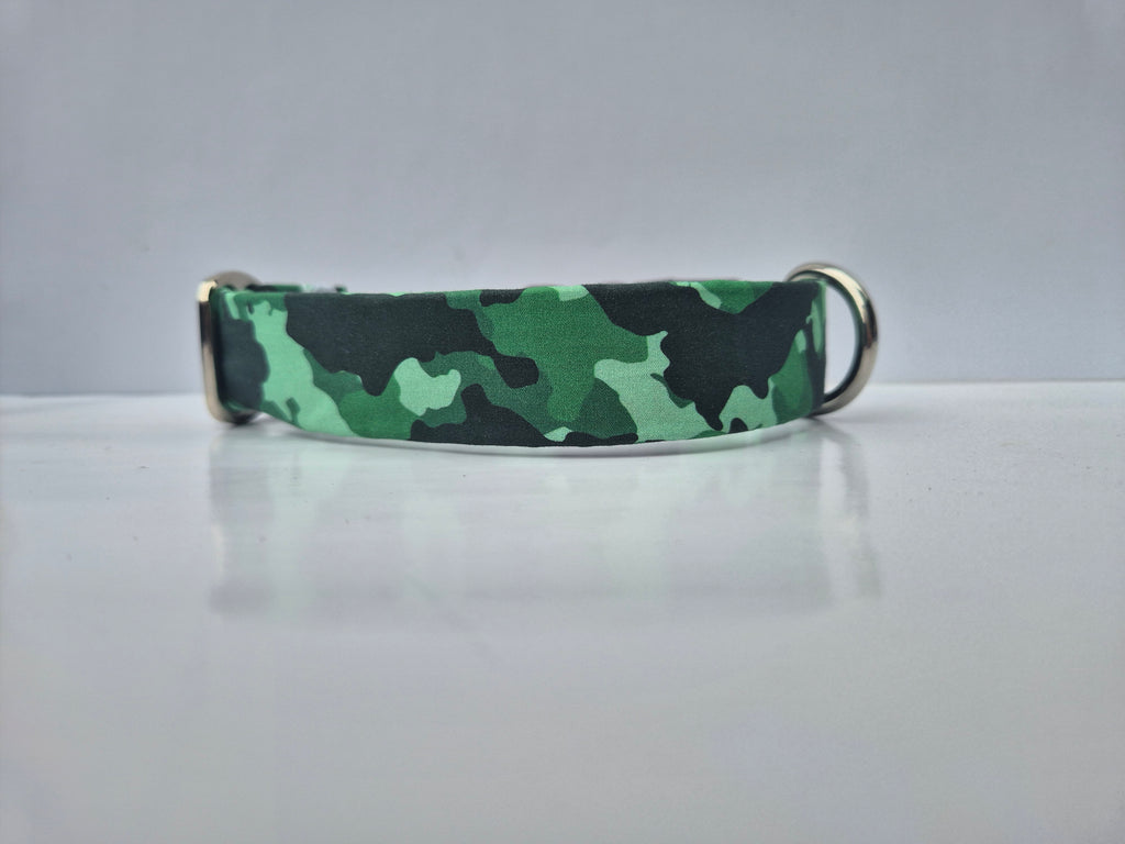 Locking Clasp Collars