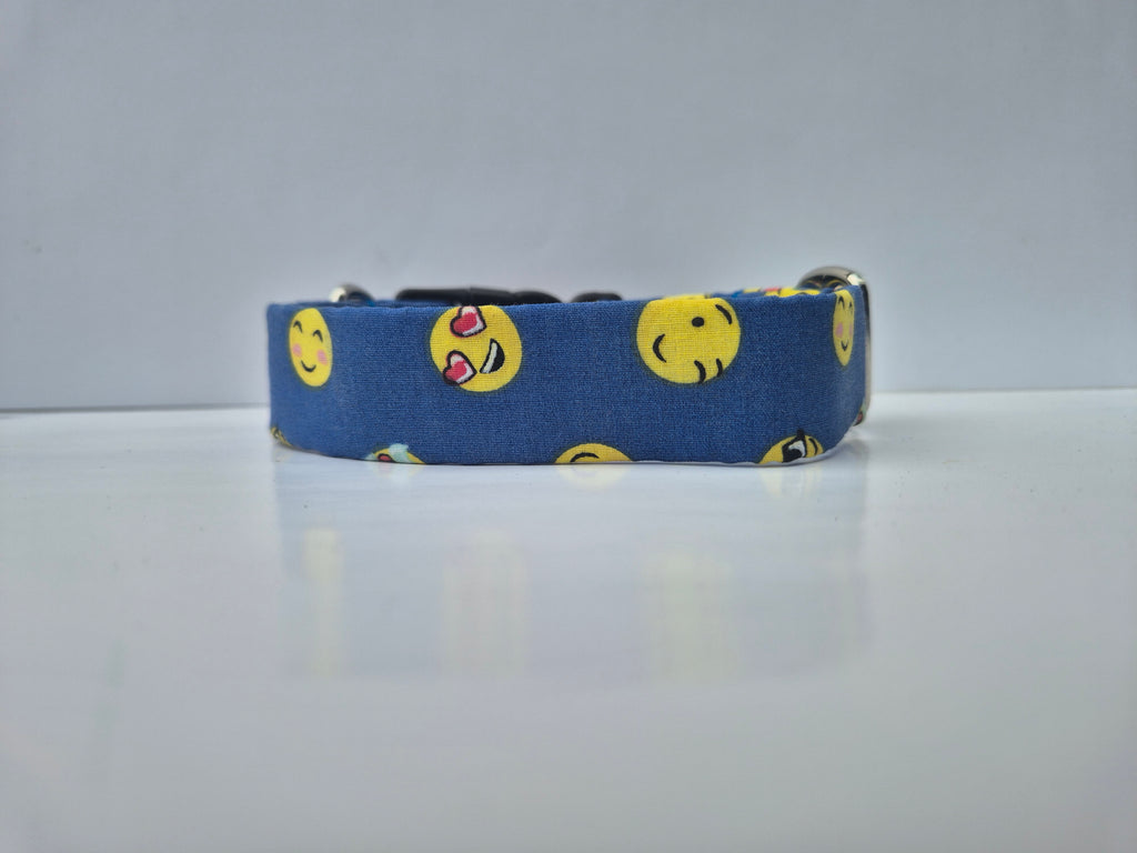 Locking Clasp Collars