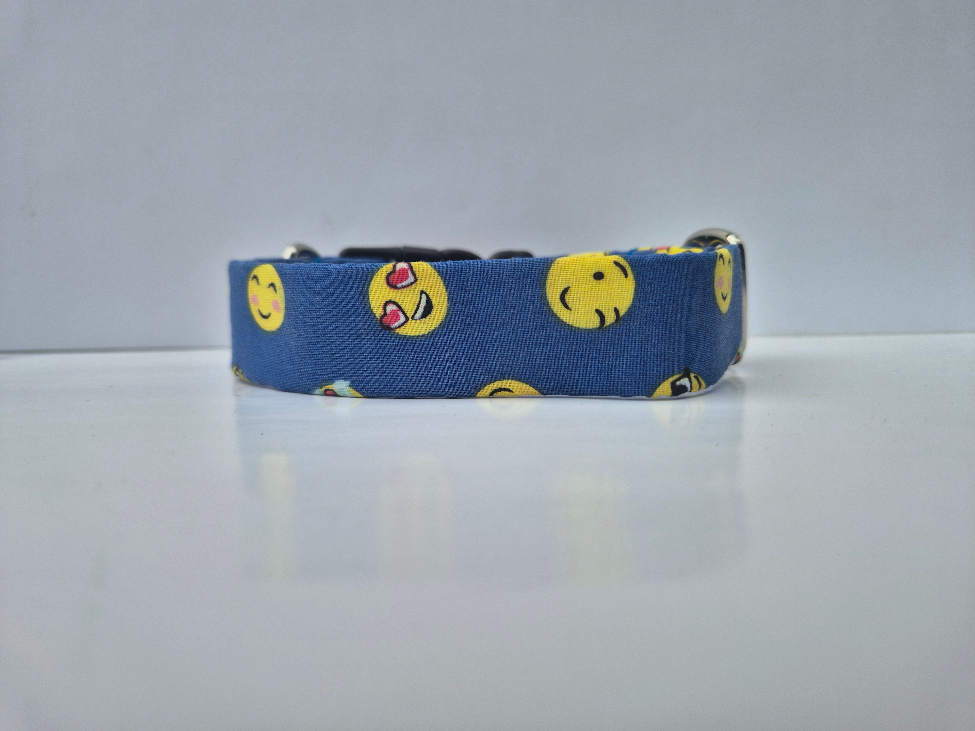 Locking Clasp Collars