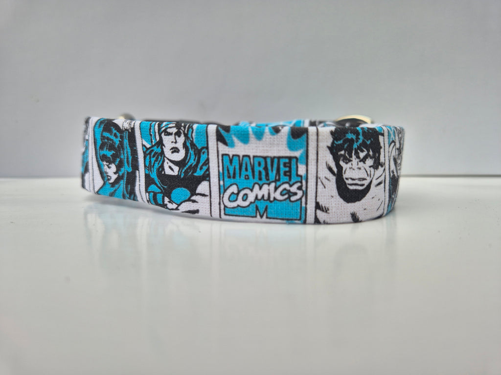 Locking Clasp Collars