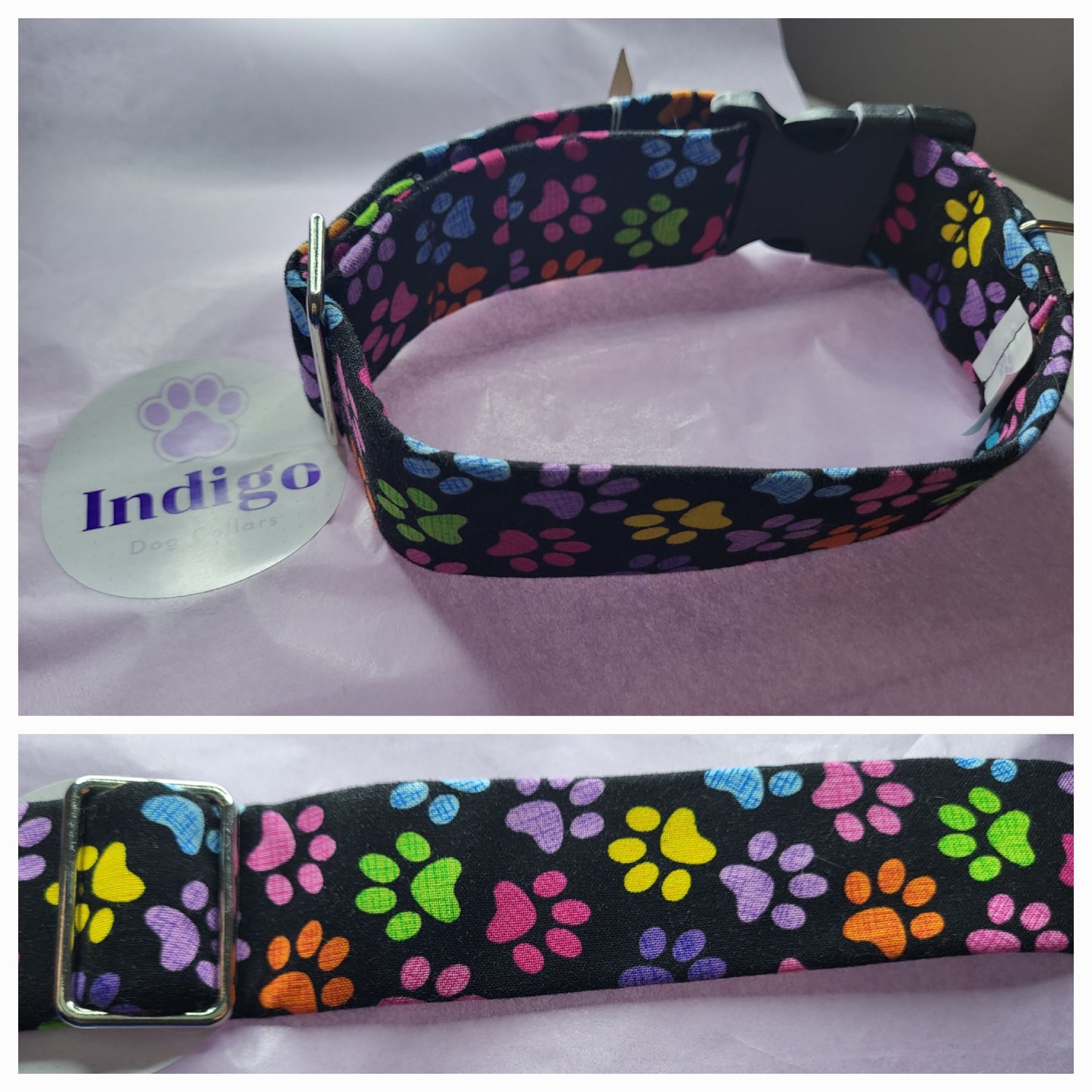 multicoloured pawprint collar