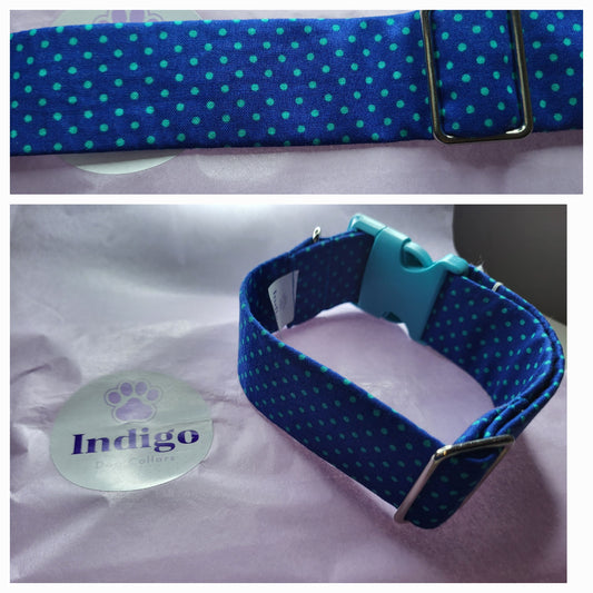 Dark blue collar with turquoise polkadots