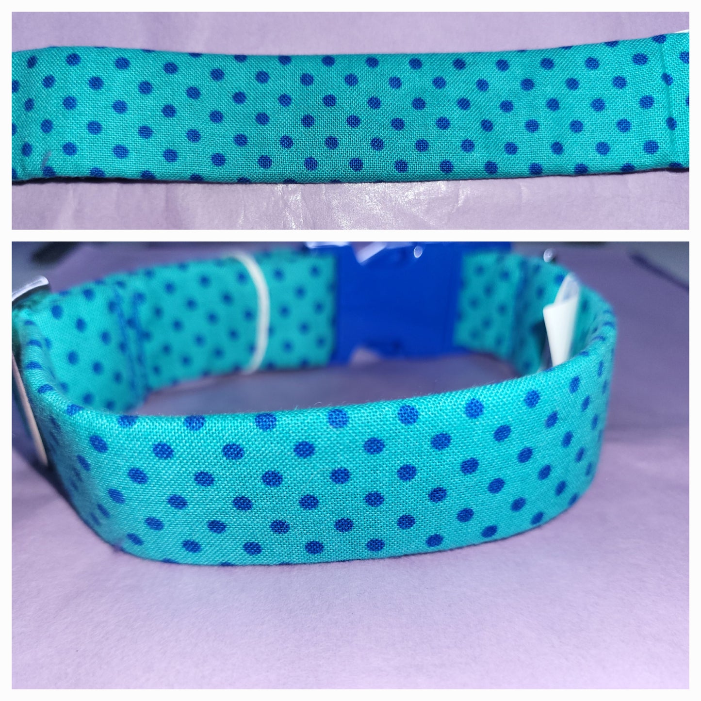 turquoise green collar with blue polkadots