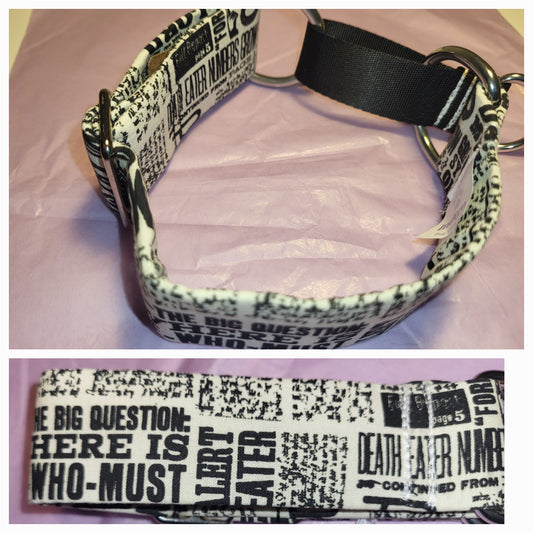 Martingale with Harry Potter newspaper script