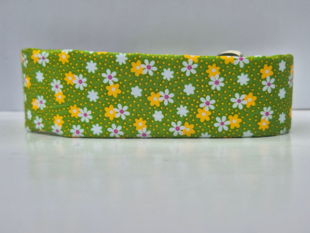 38mm thick collars