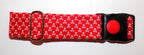 Locking Clasp Collars