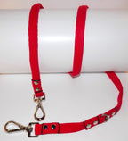 Red leads