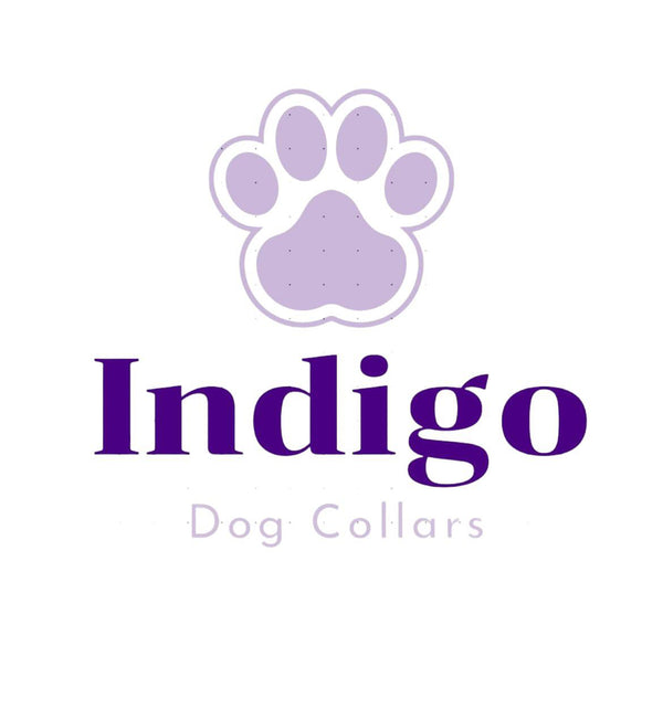Indigo Dog collars and Apparel